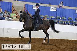 13r12_6000 proof
