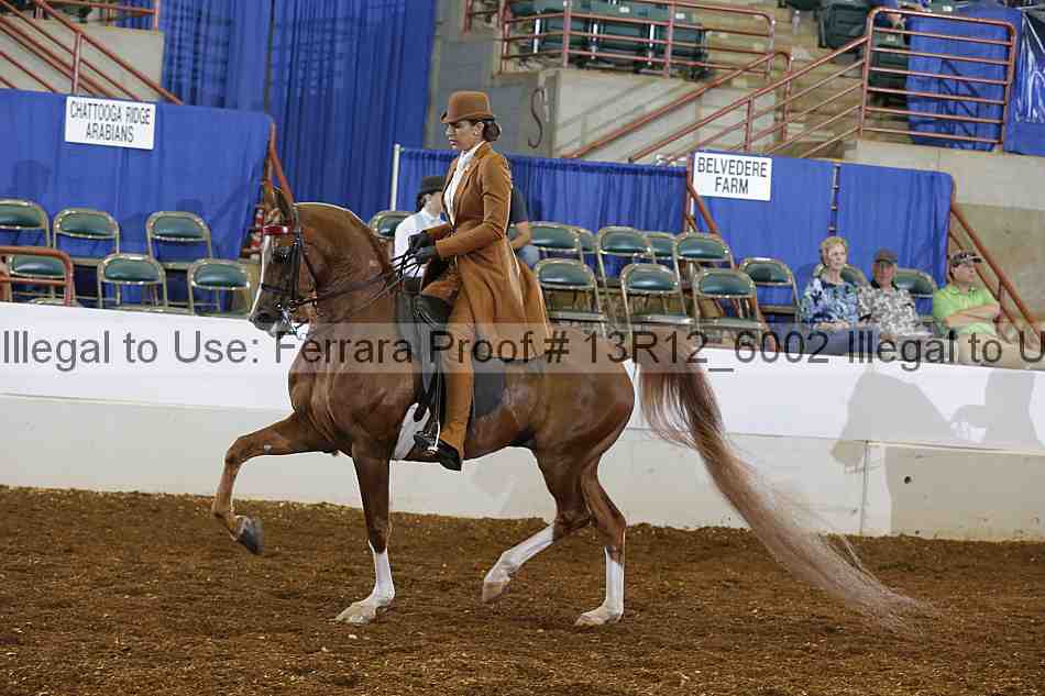 Proof 13r12_6002