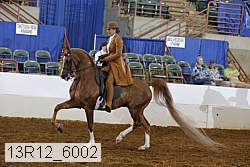 13r12_6002 proof