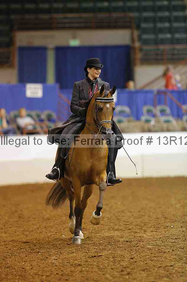 Proof 13r12_6003