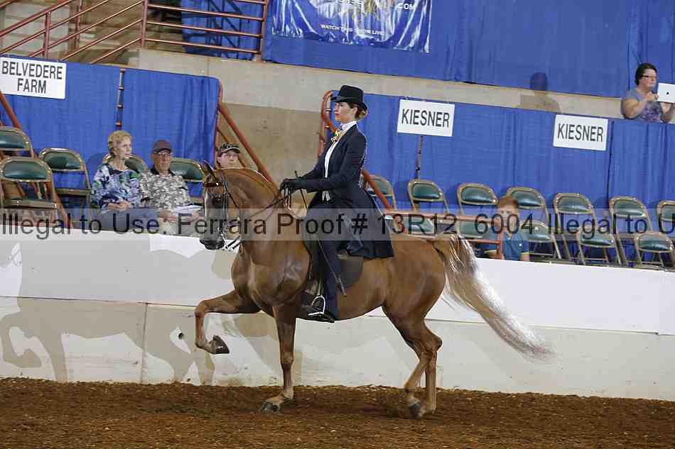 Proof 13r12_6004