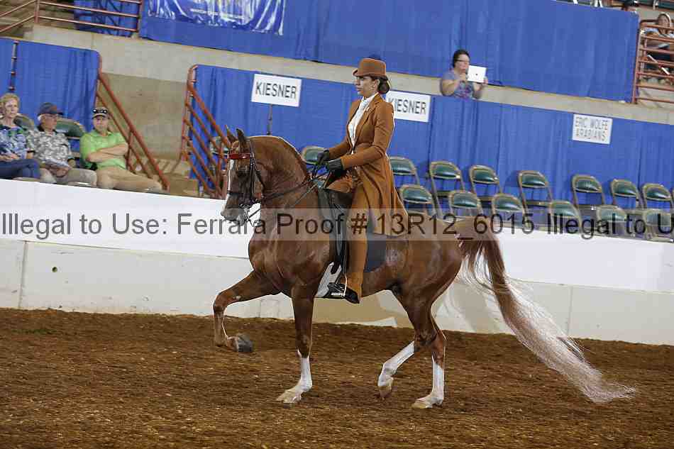 Proof 13r12_6015