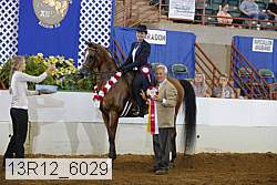 13r12_6029 proof