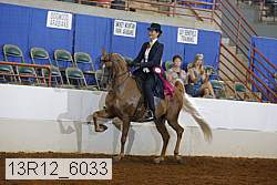 13r12_6033 proof