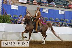 13r12_6037 proof