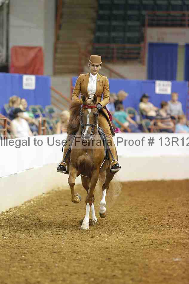 Proof 13r12_6038