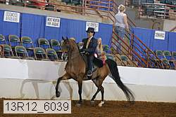 13r12_6039 proof