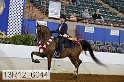 13r12_6044 proof