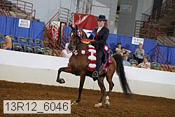 13r12_6046 proof