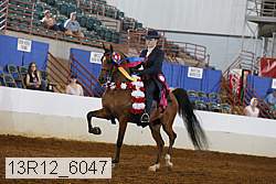13r12_6047 proof