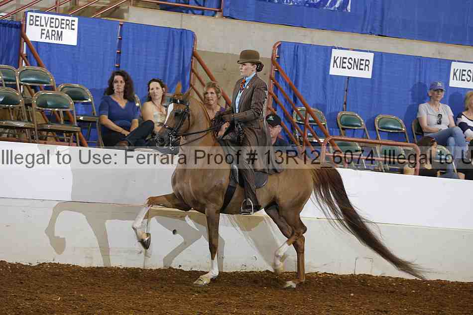 Proof 13r12_6074