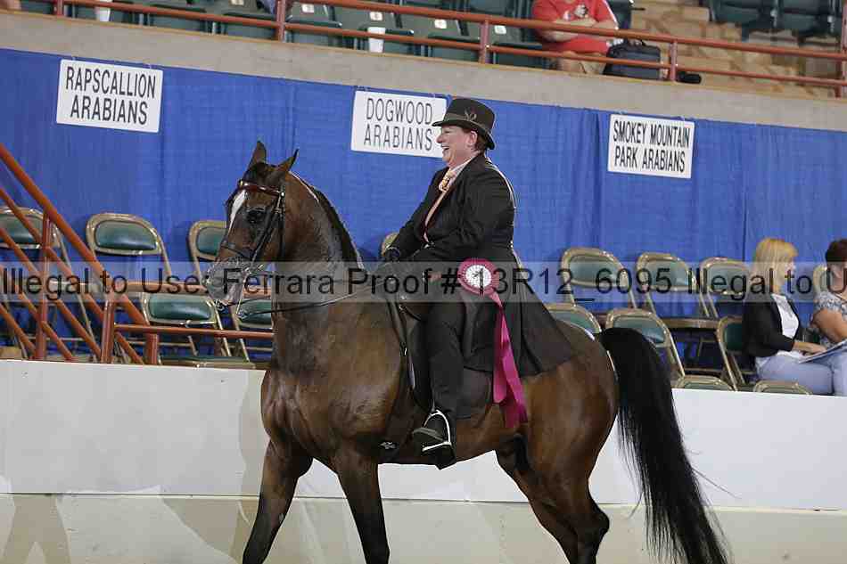 Proof 13r12_6095