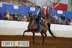 13r12_6102 proof