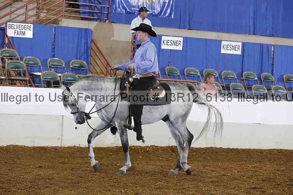 Proof 13r12_6138