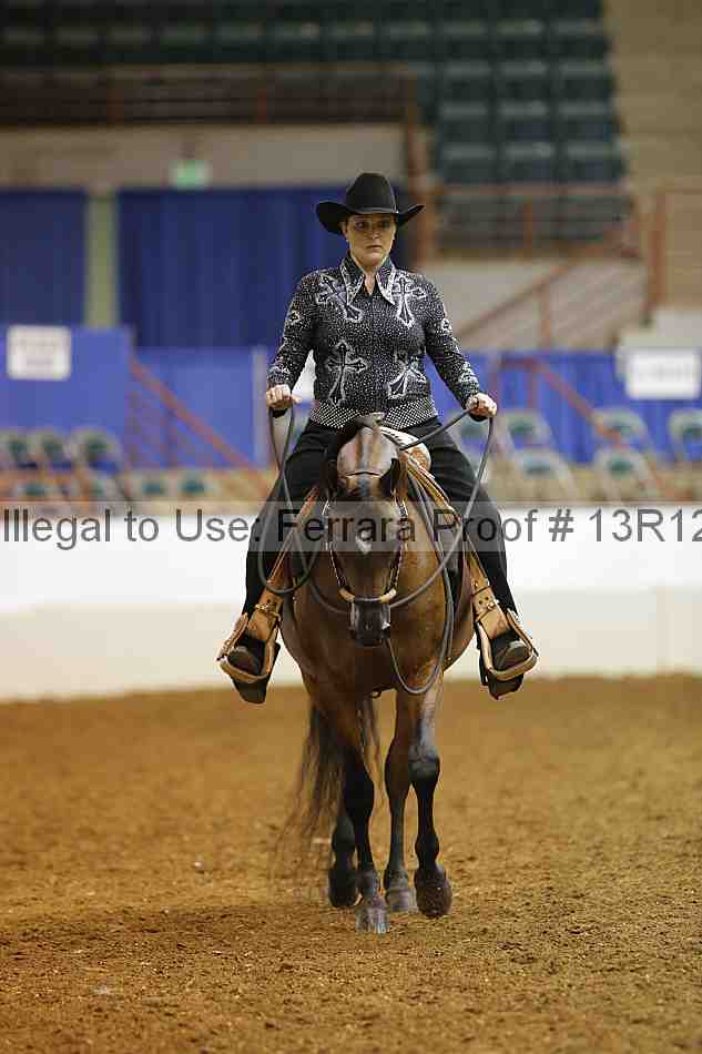 Proof 13r12_6141