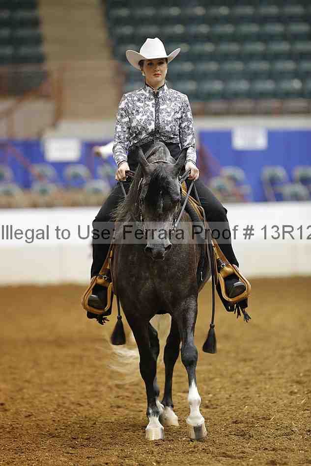 Proof 13r12_6145