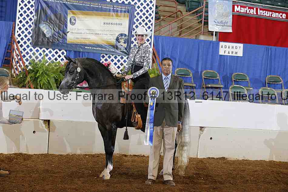 Proof 13r12_6147