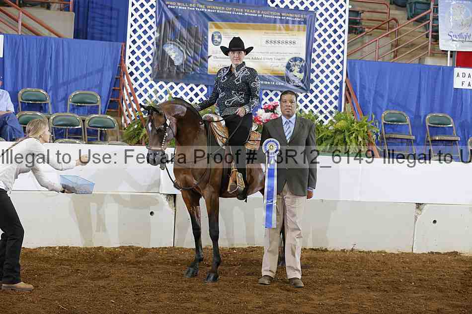 Proof 13r12_6149