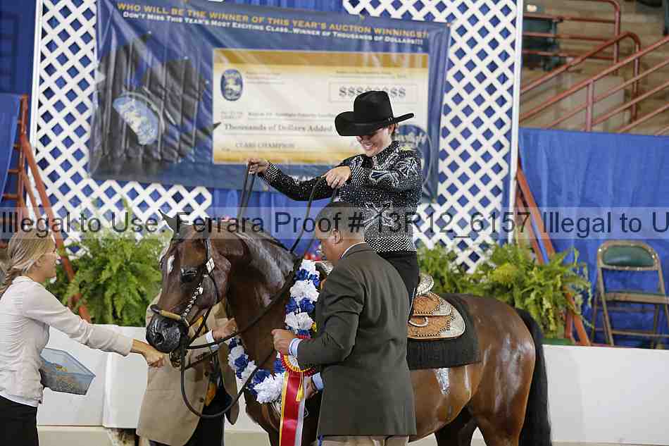 Proof 13r12_6157