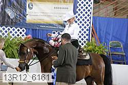 13r12_6161 proof