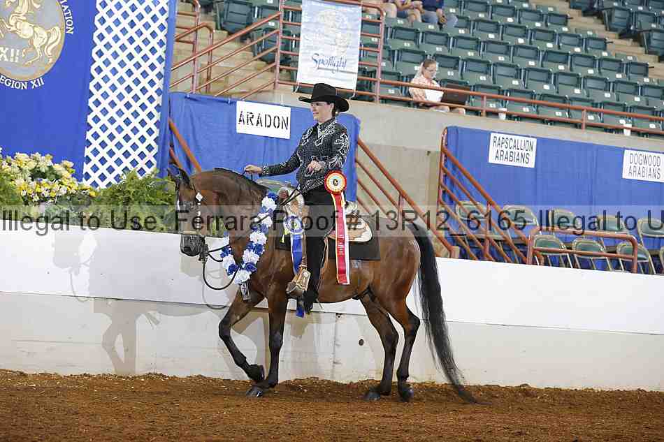 Proof 13r12_6165