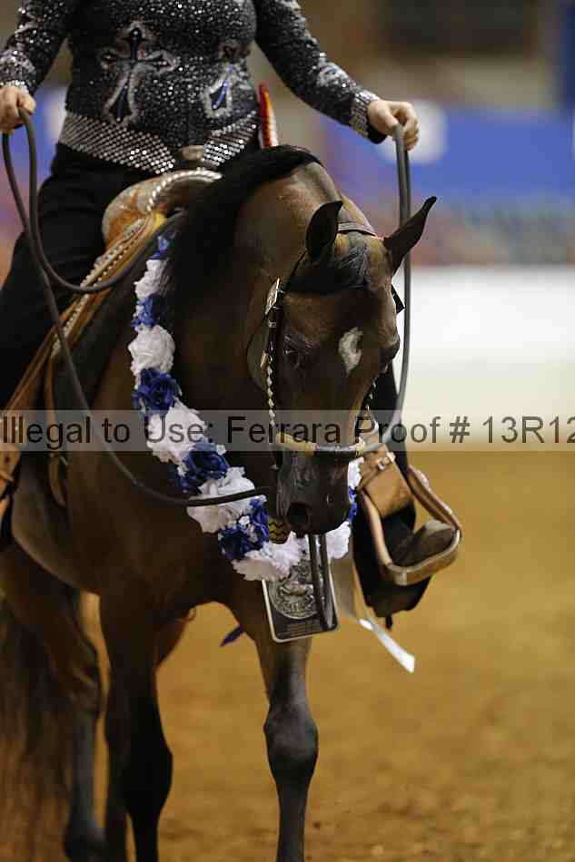 Proof 13r12_6172