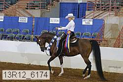 13r12_6174 proof