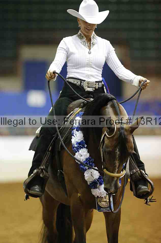Proof 13r12_6176