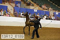 13r12_6189 proof