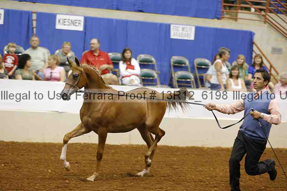 Proof 13r12_6198