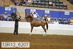 13r12_6207 proof