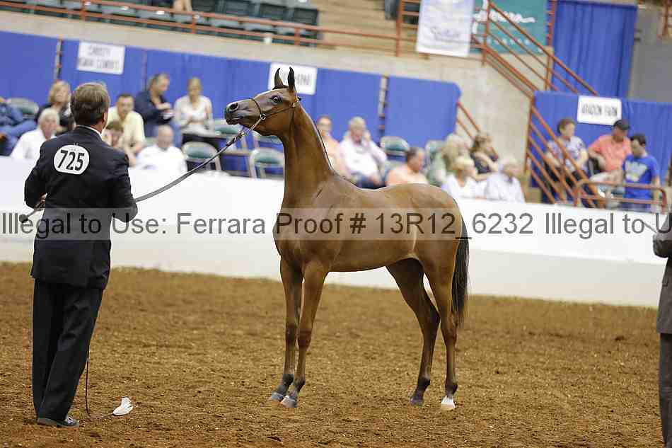 Proof 13r12_6232