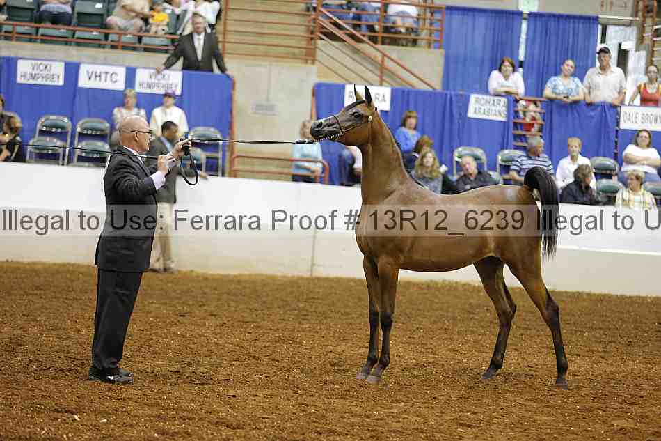 Proof 13r12_6239