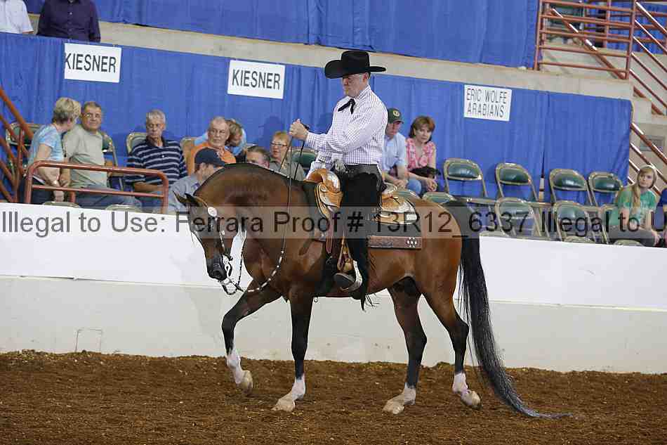 Proof 13r12_6337