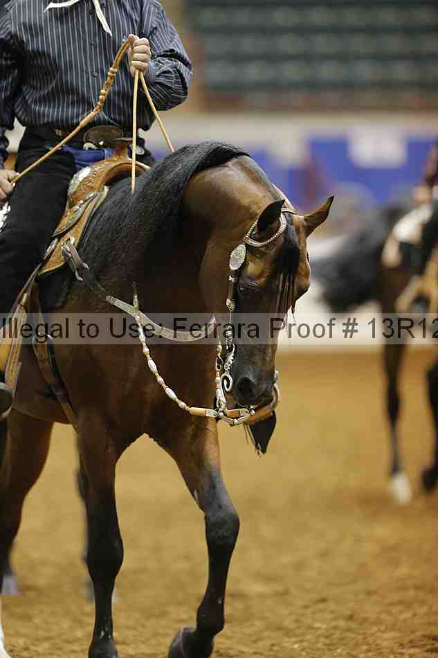 Proof 13r12_6341