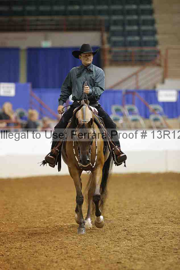 Proof 13r12_6344