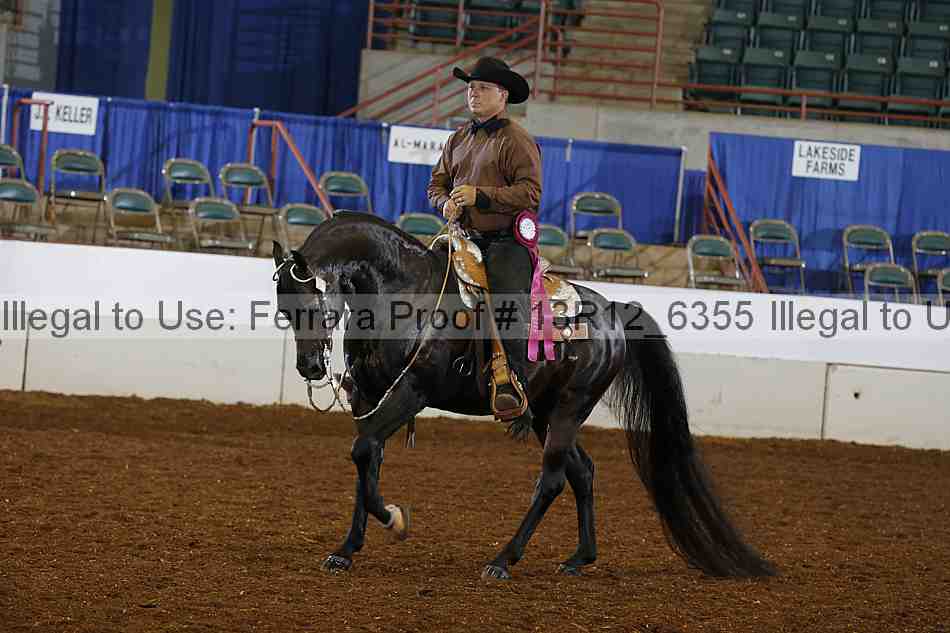 Proof 13r12_6355