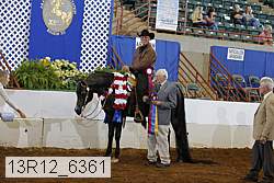 13r12_6361 proof