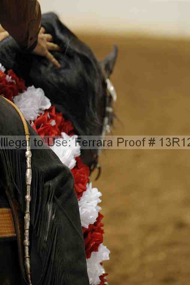 Proof 13r12_6366