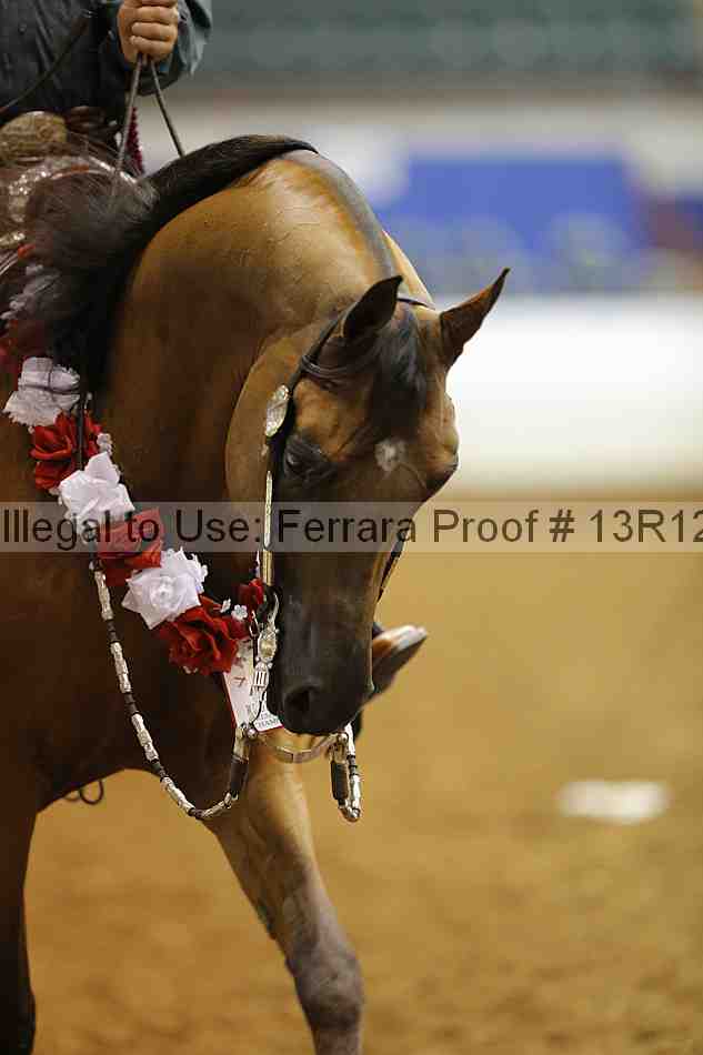 Proof 13r12_6392