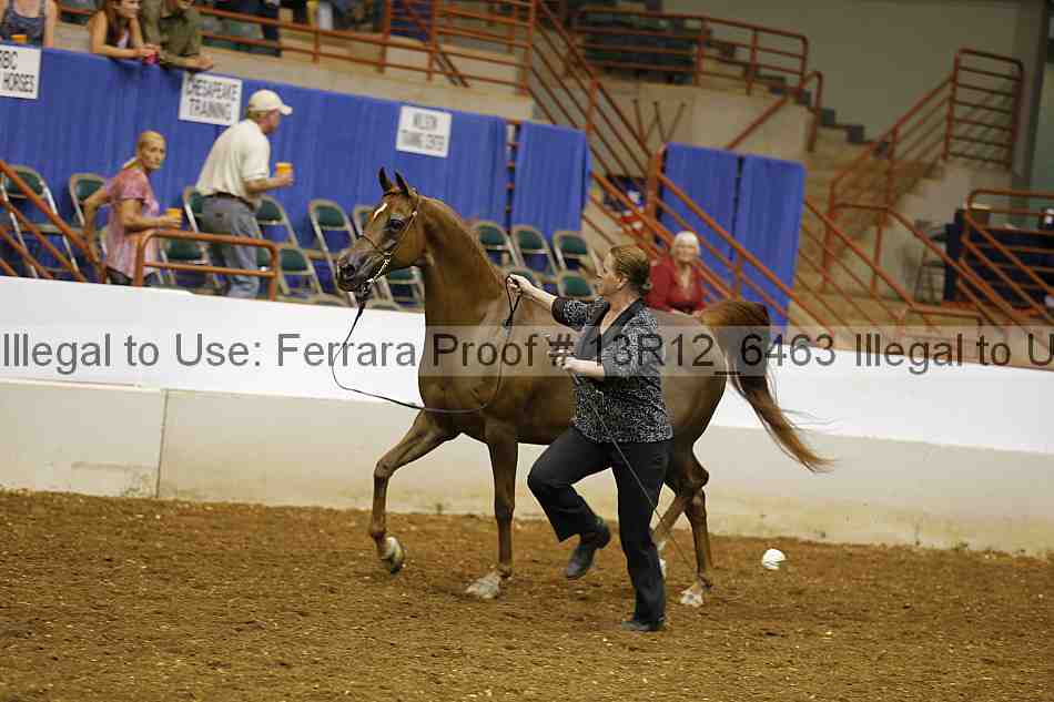 Proof 13r12_6463