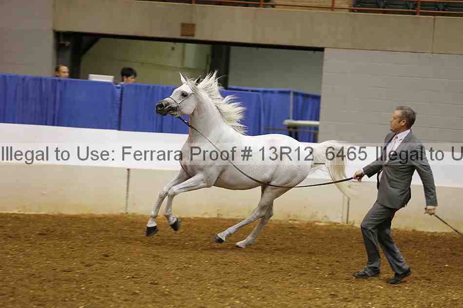 Proof 13r12_6465