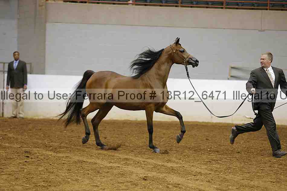 Proof 13r12_6471
