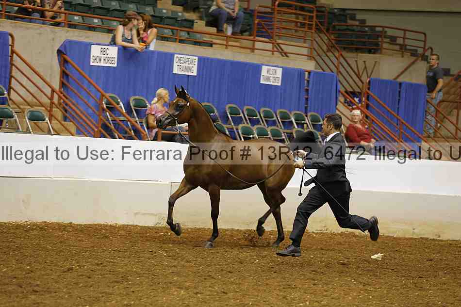 Proof 13r12_6472