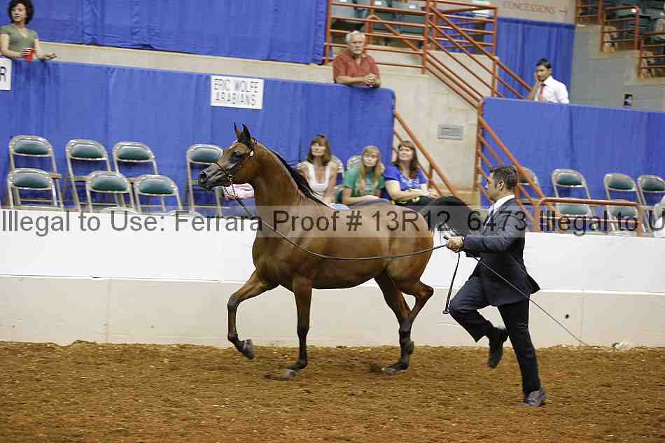 Proof 13r12_6473