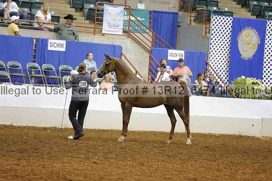 Proof 13r12_6474