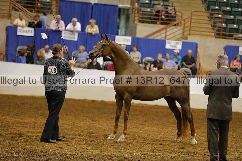 Proof 13r12_6477
