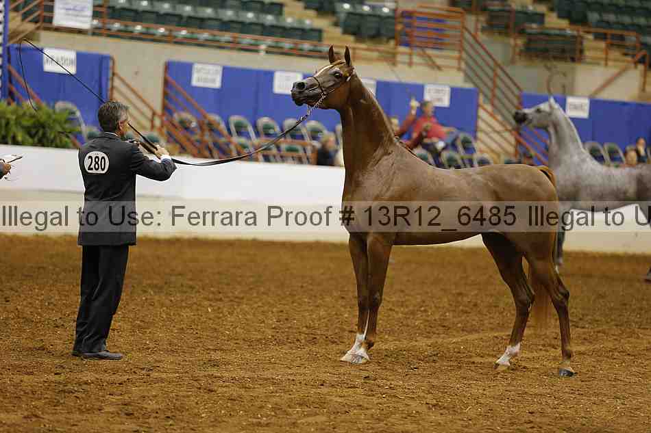 Proof 13r12_6485