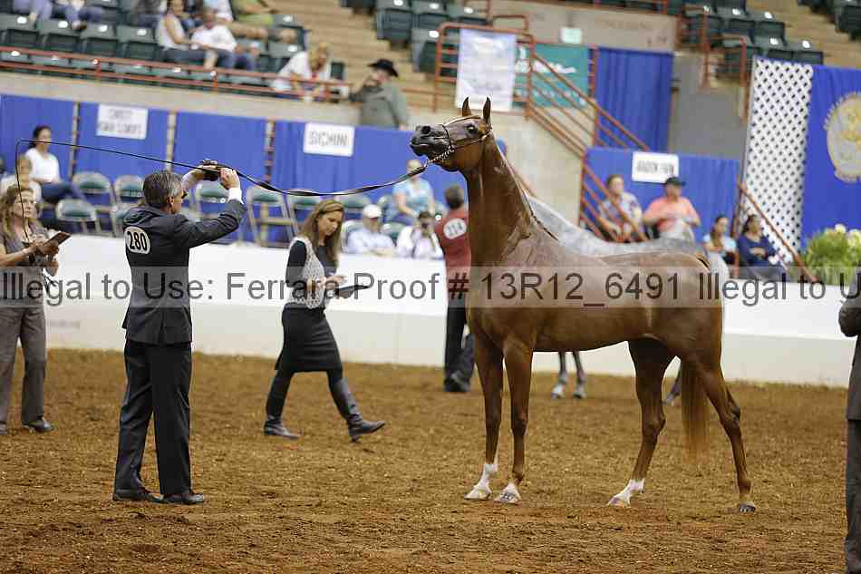 Proof 13r12_6491
