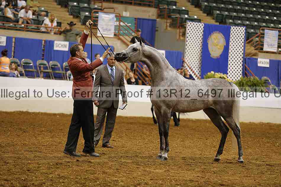 Proof 13r12_6497